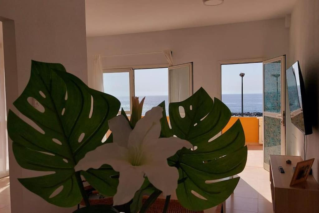 La Marea Baja Apartment Puertito de Guimar Luaran gambar